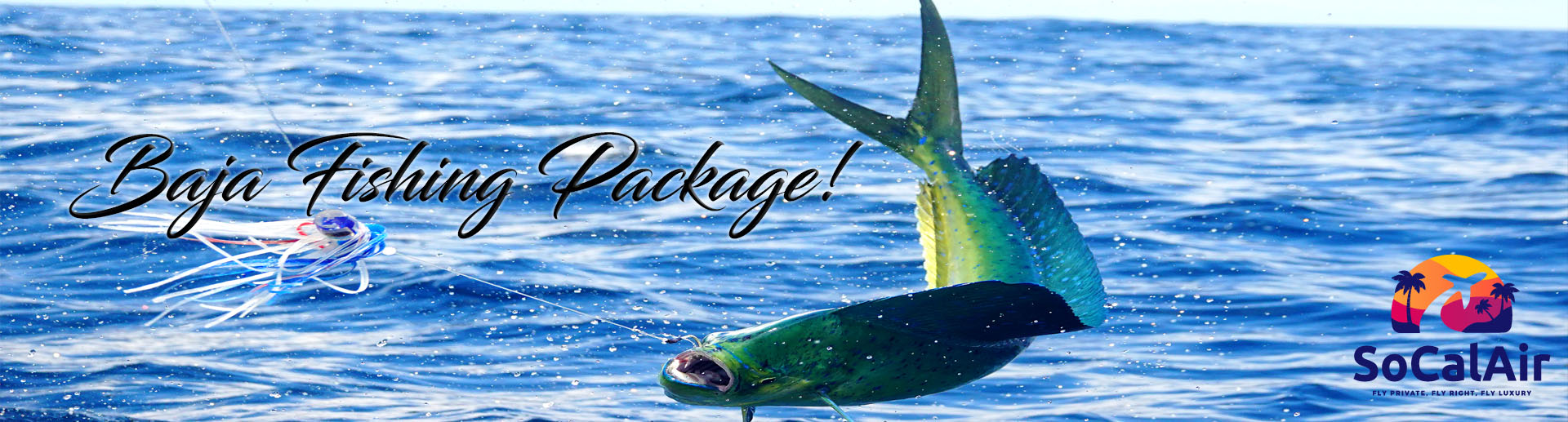 Baja Fishing Expedition Adventure Packages